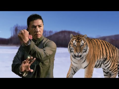 Видео: Этот мальчик-кунг-фу был настолько хорош в этом, что убил тигра одним ударом.