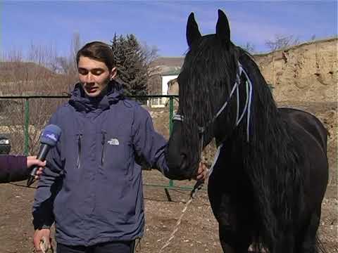 Видео: Ат юретиу