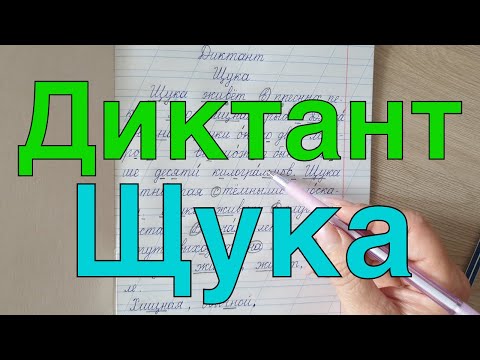 Видео: Диктант по теме " Написание буквосочетаний жи- ши, ча-ща, чу-щу, чк, чн, щн"