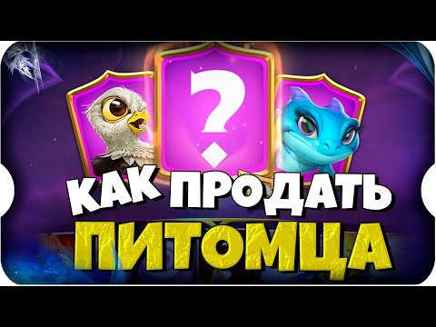 Видео: СЕКРЕТЫ ПРОДАЖИ ПИТОМЦЕВ на АУКЦИОНЕ ⚔ Call of Dragons