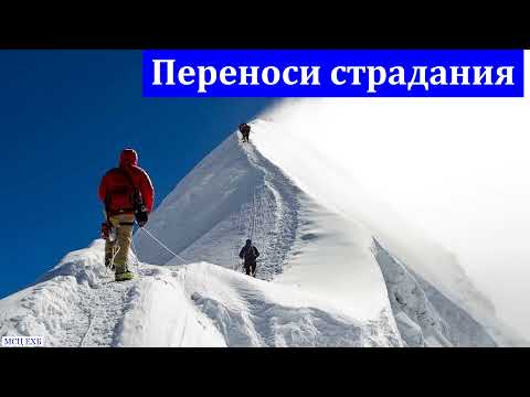 Видео: "Переноси страдания". П. Тимащук. МСЦ ЕХБ.