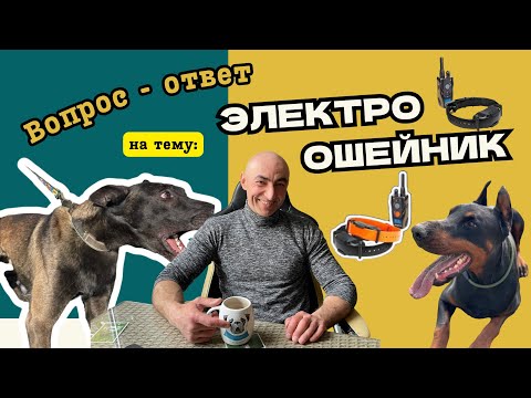 Видео: Правила работы с электроошейником / Rules for Using an E-Collar