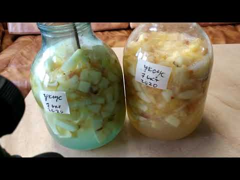 Видео: ЯБЛОЧНЫЙ УКСУС ПО ЭТОМУ РЕЦЕПТУ ВСЕГДА ПОЛУЧАЕТСЯ ! СУПЕР СПОСОБ