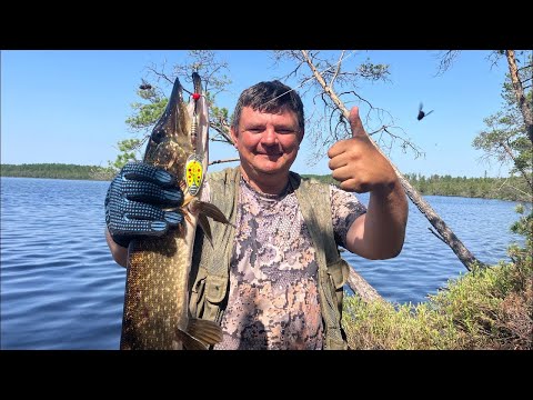 Видео: Пробрались на затерянное озеро в сибирской глубинке. Ловля на блесну.