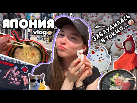 Видео: VLOG Япония🍜: храм с котиками, Сибуя, Эносима, КОНЦЕРТ RHCP В ТОКИО | разная Япония