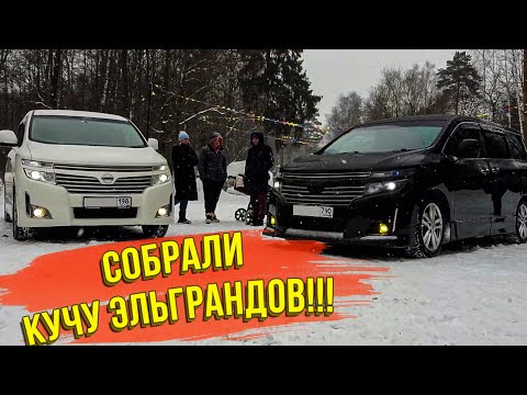 Видео: Сходка владельцев NISSAN ELGRAND в Москве