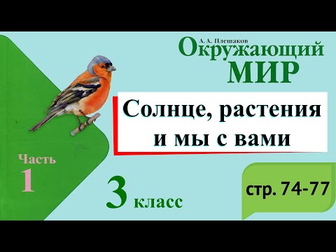 Видео: Солнце, растения и мы с вами. Окружающий мир. 3 класс, 1 часть. Учебник А. Плешаков стр. 74-77