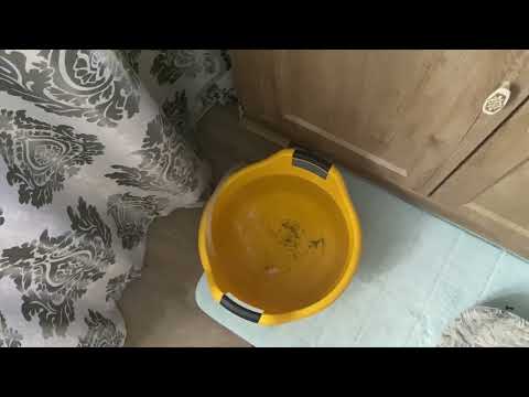 Видео: Уборка подмена воды 