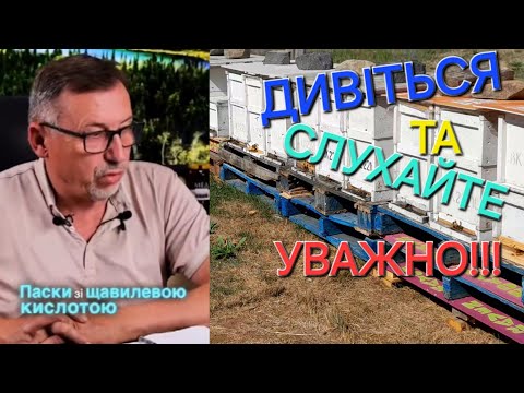 Видео: #бджоли Чому бджоли злітають. Мікропластик вбиває бджіл!!!