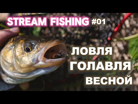 Видео: Stream Fishing #01 - Ловля голавля в начале мая.