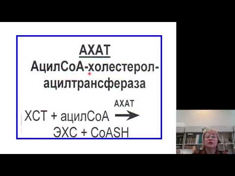 Видео: Биохимия 13.Обмен холестерина. Липопротеины