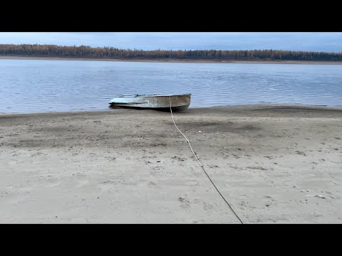Видео: Прощай старый друг (часть первая Отшельник)