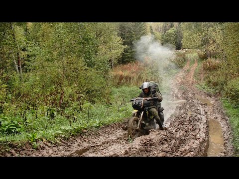 Видео: Шурф в исчезнувшем хуторе #515