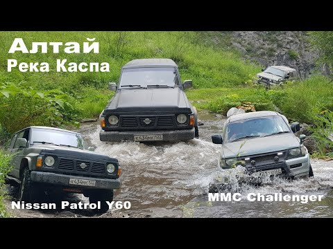 Видео: На Nissan Patrol Y60 по Алтаю. Маршрут: Ороктойский мост - вдоль реки Каспа - село Шабалино.