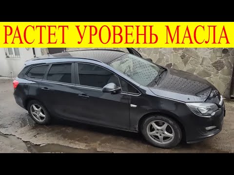 Видео: Частая неисправность всех Опелей с двигателем 1.7 растет уровень масла Opel Astra J 1.7CDTI A17DTE