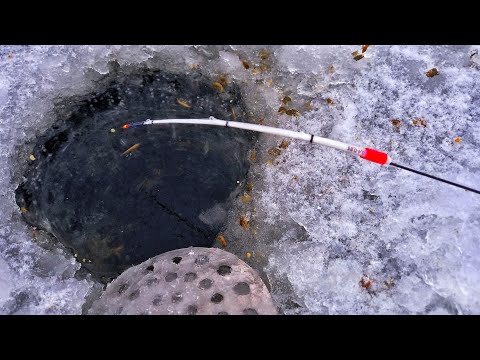 Видео: ПРИЕХАЛ НА СОРЕВНОВАНИЯ ПО БЕЗМОТЫЛКЕ И ВОТ ЧТО ИЗ ЭТОГО ВЫШЛО... РЫБАЛКА НА БЕЗМОТЫЛКУ