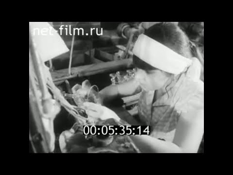Видео: 1986г. Вышний Волочёк. стекольный завод "Красный Май". Калининская обл