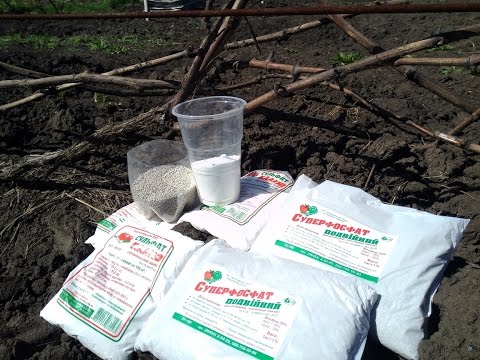 Видео: Внесение минеральных удобрений под кусты винограда. Сульфат калия. Суперфосфат. 13-04-2017