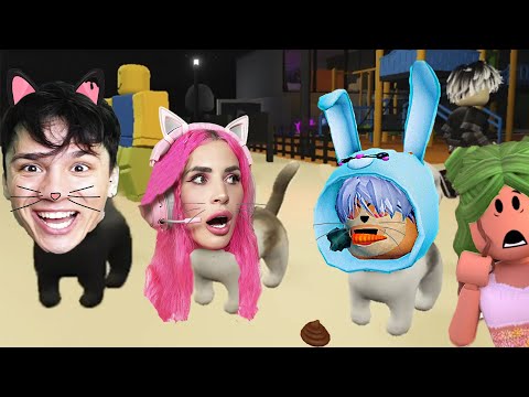 Видео: СТАЛИ КОТАМИ HOLY BAAM Женяша и ЧУДО ЧАЙ в ROBLOX! @HolyBaam  @chudochai