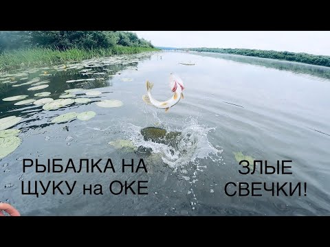 Видео: ТАКОЙ ЖОР Я ЕЩЕ НЕ ВИДЕЛ, РЫБАЛКА НА ОКЕ НА ЩУКУ