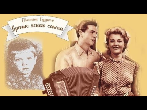 Видео: Краше ясного сокола_Слушать рассказ