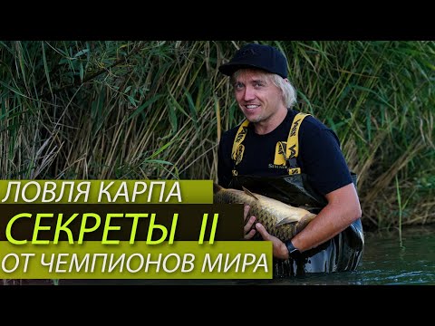 Видео: СЕКРЕТЫ II КАРПФИШИНГА ОТ ЧЕМПИОНОВ МИРА! #TIMETOCATCH