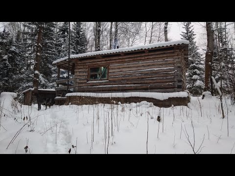 Видео: Секрет добычи зайца  Рассказы старого охотника в лесной избушке  Часть 1