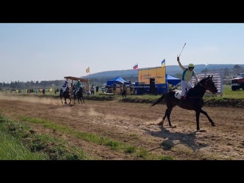 Видео: Скачки.Сурхарбан Улан-Удэ 2024г.Дистанция 2400м для лошадей от трех лет и старше.Horse racing .