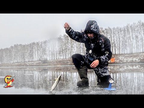 Видео: Существует ли идеальный костюм для зимней рыбалки? Как мы с Сержиком костюмы покупали!!!