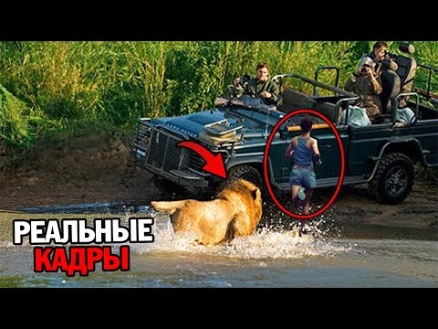 Видео: Эти 3 Женщины Были РАСТЕРЗАНЫ Львами во Время Африканского Сафари!