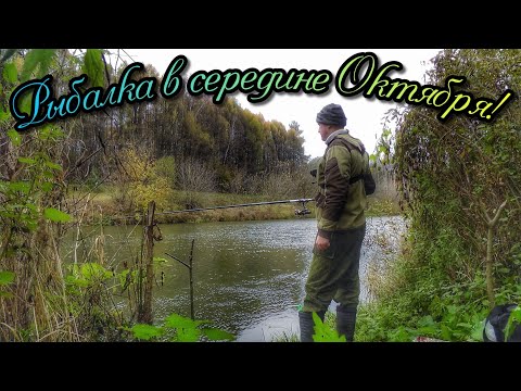 Видео: РЫБАЛКА 🐟 НА ПОПЛАВОК! ОСЕННИЕ РЫБЫ ИСПЫТЫВАЮТ ЛЕСКУ НА ПРОЧНОСТЬ. ДАВНО Я ТАК НЕ ЛОВИЛ)