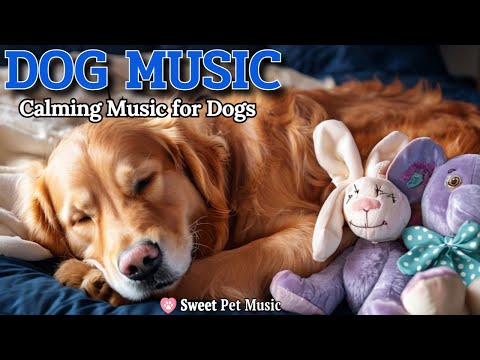 Видео: 24 часа успокаивающей музыки для собак🦮💖Чтобы собака крепко спала🎵🦮Отдых и снятие тревоги, Dog TV