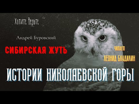 Видео: Сибирская Жуть: ИСТОРИИ НИКОЛАЕВСКОЙ ГОРЫ (автор: Андрей Буровский).