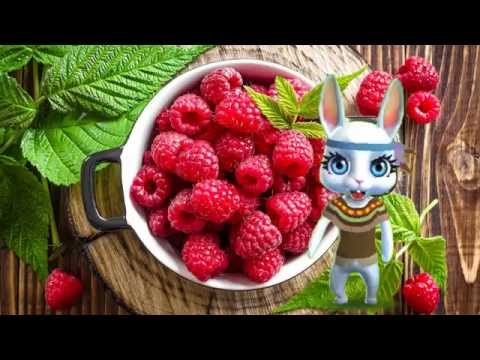 Видео: Zoobe Зайка Малина! Сладко на губах!