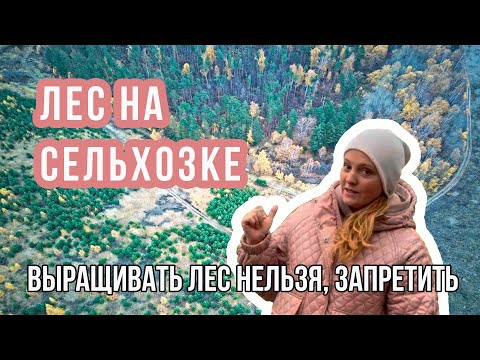 Видео: Лес на сельхозке - выращивать нельзя, запретить?