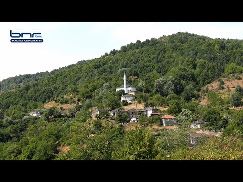 Видео: Село Любино се заселва с чужденци