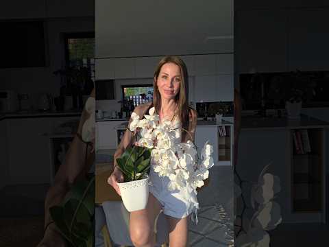 Видео: Сейчас, можно сказать, цветут только эти орхидейки, но я и рада, пусть отдыхают, ведь впереди зимнее