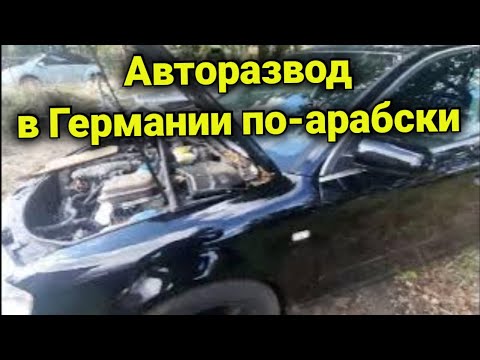 Видео: Авторазвод в Германии по-арабски продолжение) #авторазвод #перекуп  #автохлам #автогаражгермания