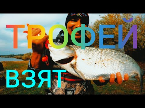 Видео: РАЗДАЧА ЖЕРЕХА / РЕКА ОКА. Рыбалка на СПИННИНГ. Район Ступино.#NEKFiSh