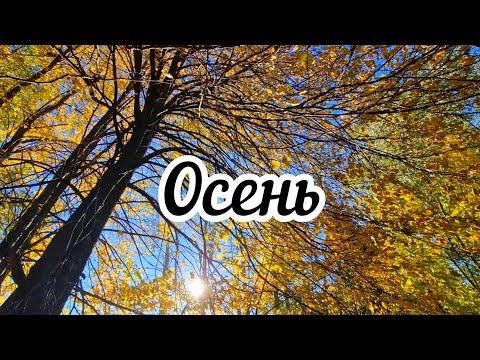 Видео: Уютный осенний влог🍁 Два года моему деревенскому блогу🏠  Шашлык в печи 🔥Чудо-птица и бычок Юрий.