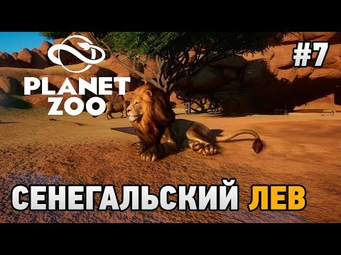 Видео: Planet Zoo #7 Сенегальский лев (попытка побега)