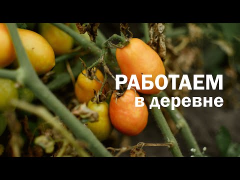 Видео: Знакомимся с нашим деревенским домом