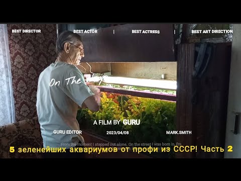 Видео: 5 Зеленейших аквариумов без CO2 и удобрений, от Аквариумиста из СССР.  2я Часть блокбастера.