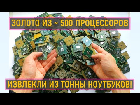 Видео: ЗОЛОТО 99,9% ИЗ ~ 500 ПРОЦЕССОРОВ, КОТОРЫЕ ИЗВЛЕКЛИ ИЗ ТОННЫ НОУТБУКОВ!