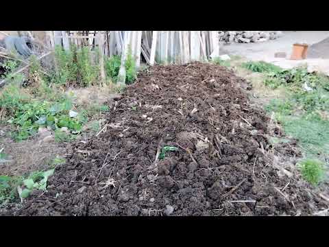 Видео: ШЫЛАУШЫН БИЗНЕСІНДЕГІ  ҚАТЕЛІКТЕР...  BAYQAZAQ