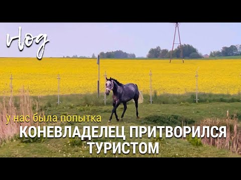 Видео: Коневладелец притворился туристом
