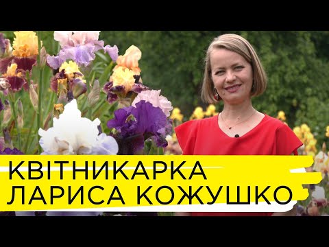 Видео: Вирощування квітів як хобі: історія квітникарки Лариси Кожушко