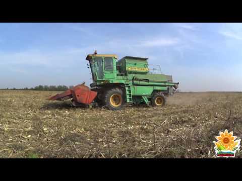 Видео: Уборка кукурузы комбайн ДОН-1500Б с жаткой КМД-6.