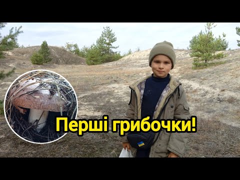 Видео: В ліс за першими грибами.