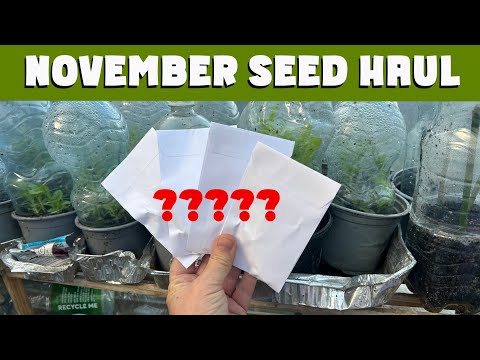 Видео: Что я купил? Может, я и псих, но да, я покупаю СЕМЕНА в НОЯБРЕ!